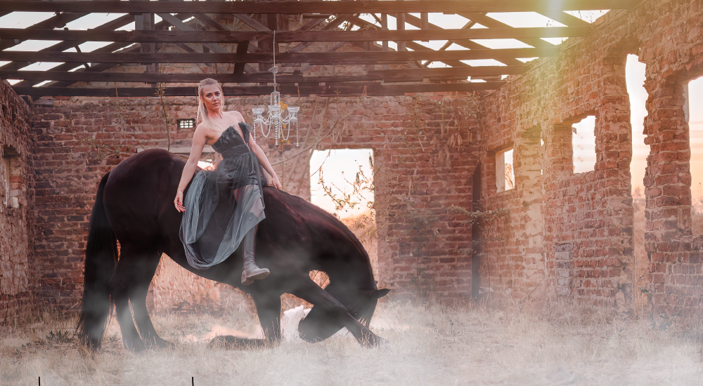 Horse liberty and trick training by Equine Lingo