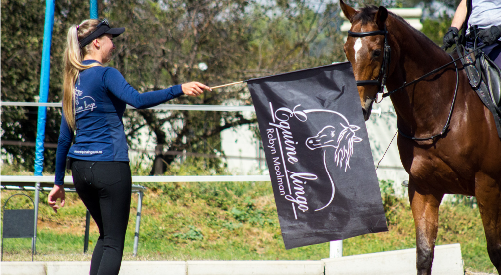 Equine Lingo Problem Behaviour Solutions