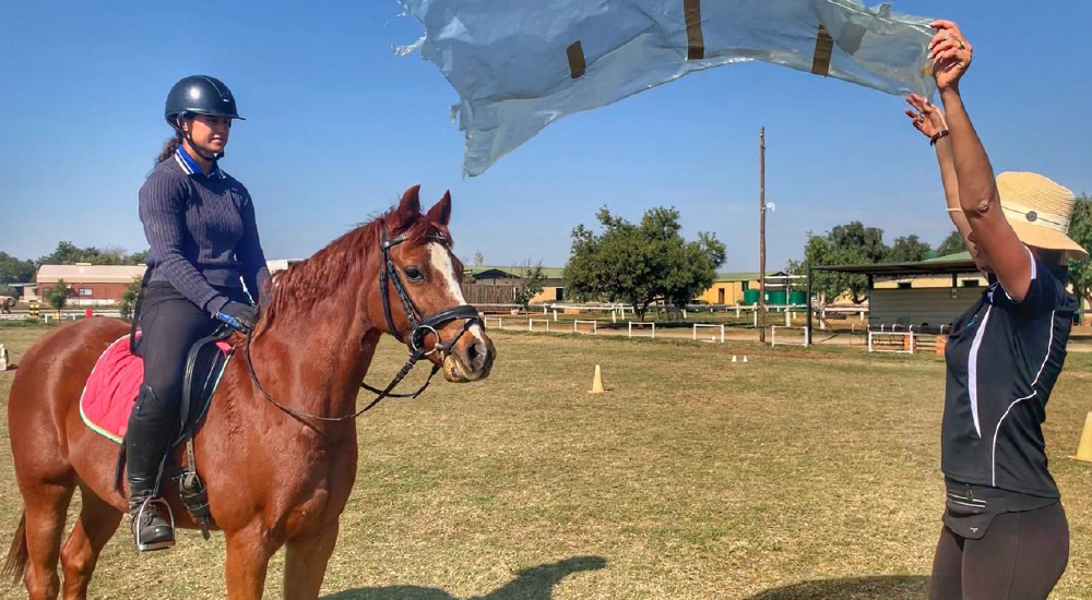 Equine Lingo Problem Behaviour Solutions