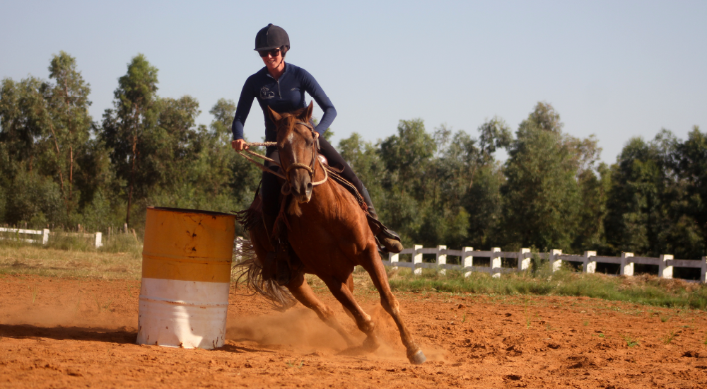 Horse Western Training by Equine Lingo
